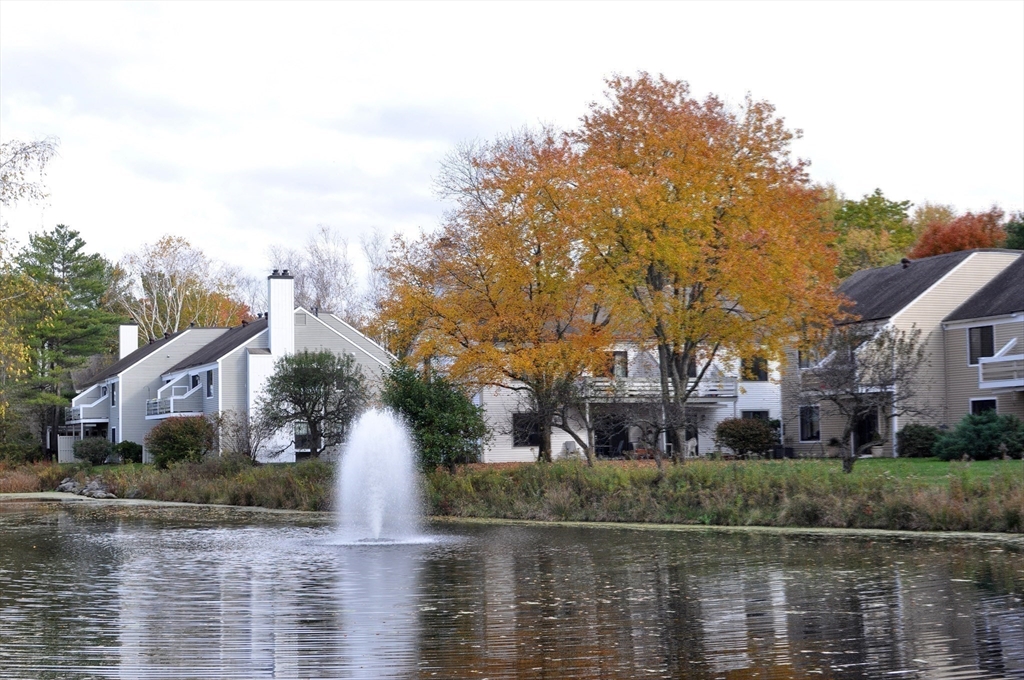 18 Concord Greene, Unit 6 Concord, MA 01742 - Photo 19 of 24 a view of house with river and trees in the background