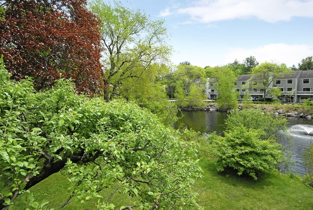 18 Concord Greene, Unit 6 Concord, MA 01742 - Photo 23 of 24 a view of a garden with lawn chairs