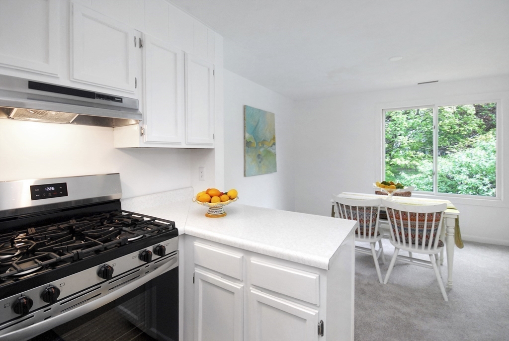 18 Concord Greene, Unit 6 Concord, MA 01742 - Photo 9 of 24 a kitchen with a stove and a white cabinets