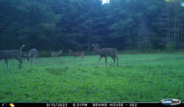 $2,000,000 | N6965 Knutson Lake Road, Ogdensburg, WI 54962