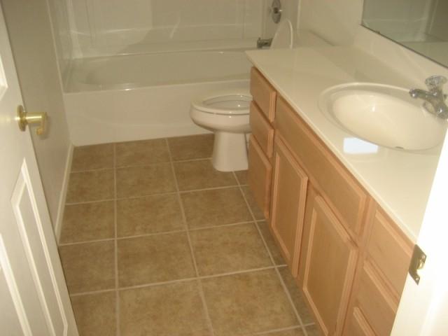 6852 West Carter Road Laveen, AZ 85339 - Photo 8 of 11 BATHROOM
