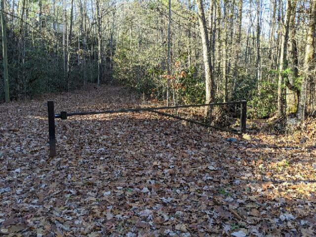 Meadows Drive Sevierville, TN 37876 - Photo 3 of 3 b