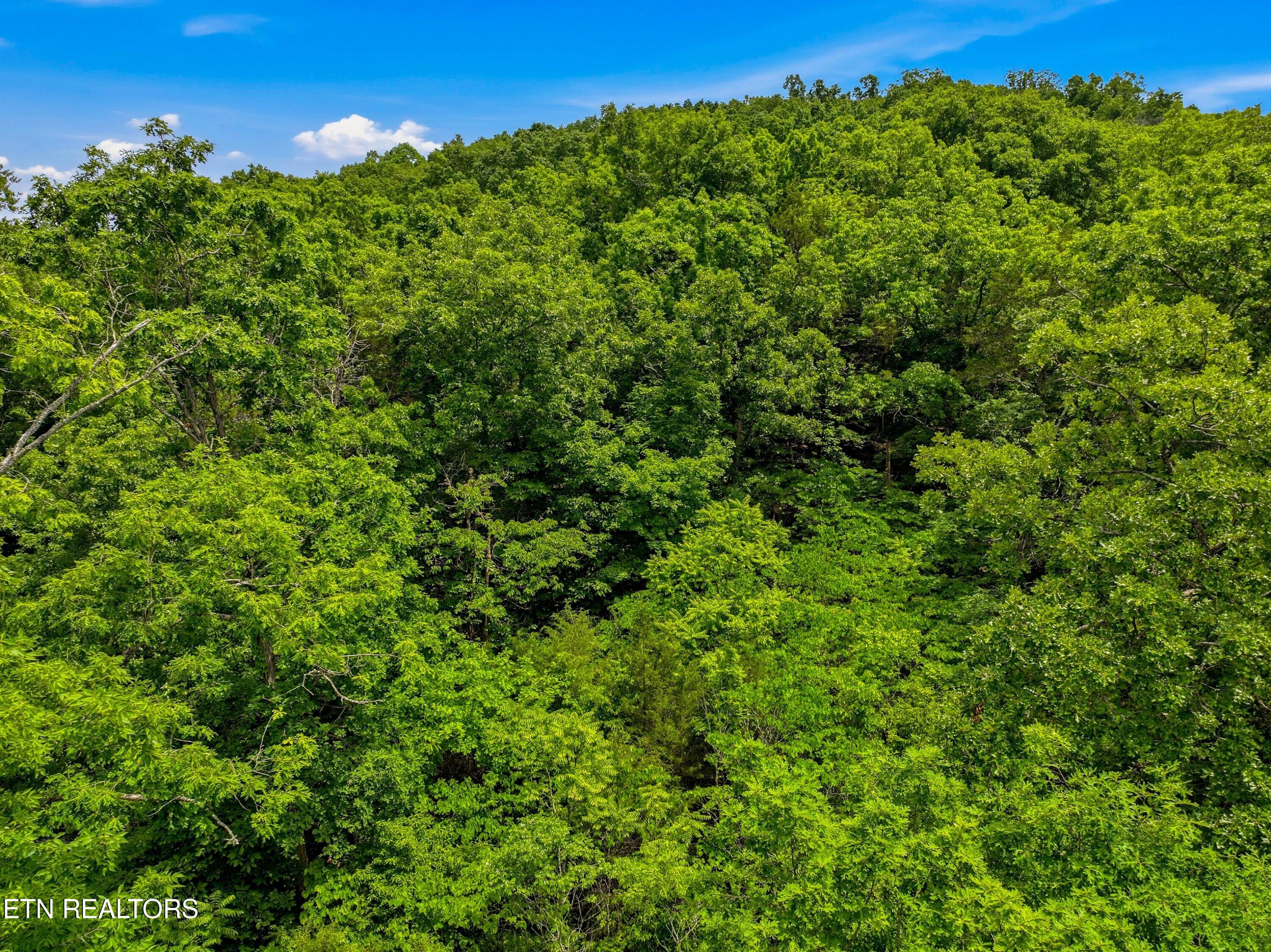 Lot 110 Eagles Ridge Tazewell, TN 37879 - Photo 10 of 17 010-EaglesRidge-Tazewell-TN-37879-SMALL