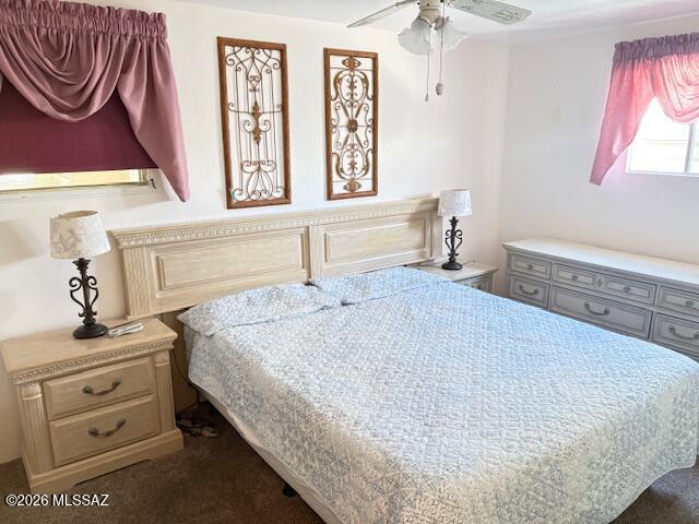 2711 South Box A Way Tucson, AZ 85713 - Photo 14 of 21 2711 Box A Primary Bedroom 1