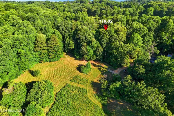a view of a garden