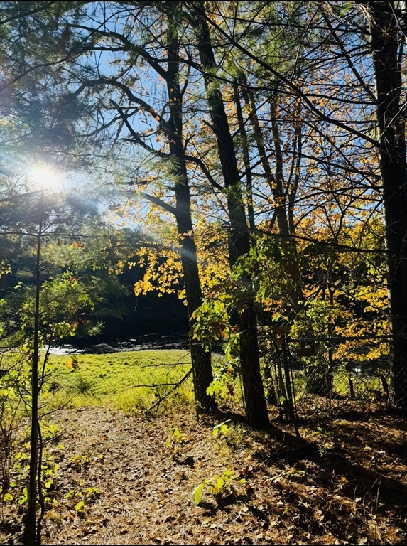 1501 Old Bridge Lane, Unit 1501 Bellingham, MA 02019 - Photo 42 of 42 a view of swimming pool from a yard