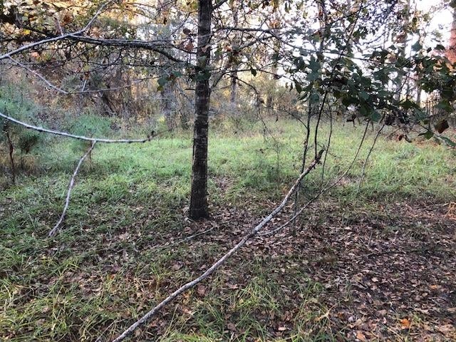 6-ac Adams Pond Road Opp, AL 36467 - Photo 13 of 20 Gallery Image 13