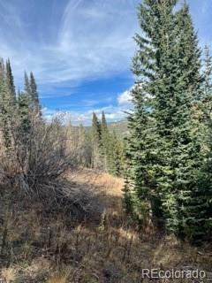 1257 Roberts Road Alma, CO 80420 - Photo 18 of 21 Gallery Image 18