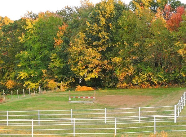 651 Woods Road Barre, MA 01068 - Photo 6 of 29 Gallery Image 6