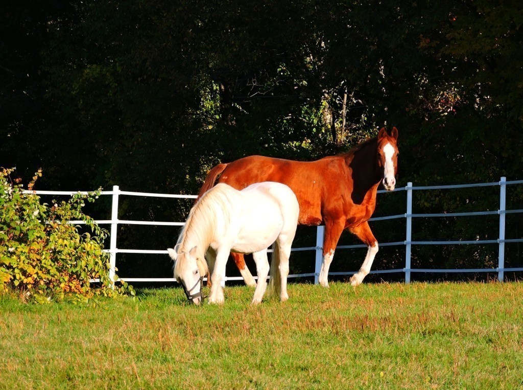 651 Woods Road Barre, MA 01068 - Photo 8 of 29 Gallery Image 8