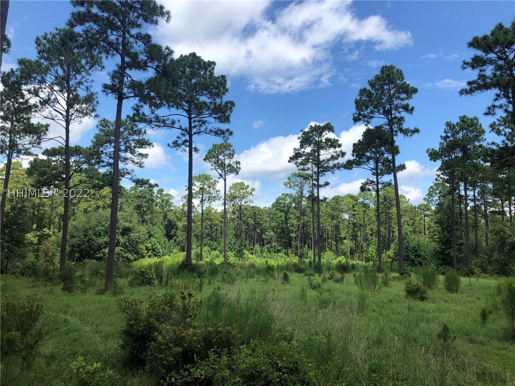 30 Camp 8 Road Bluffton, SC 29910 - Photo 1 of 1 Gallery Image 1
