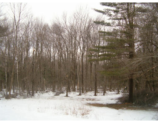 81 Leverett Road Shutesbury, MA 01072 - Photo 10 of 10 Gallery Image 10