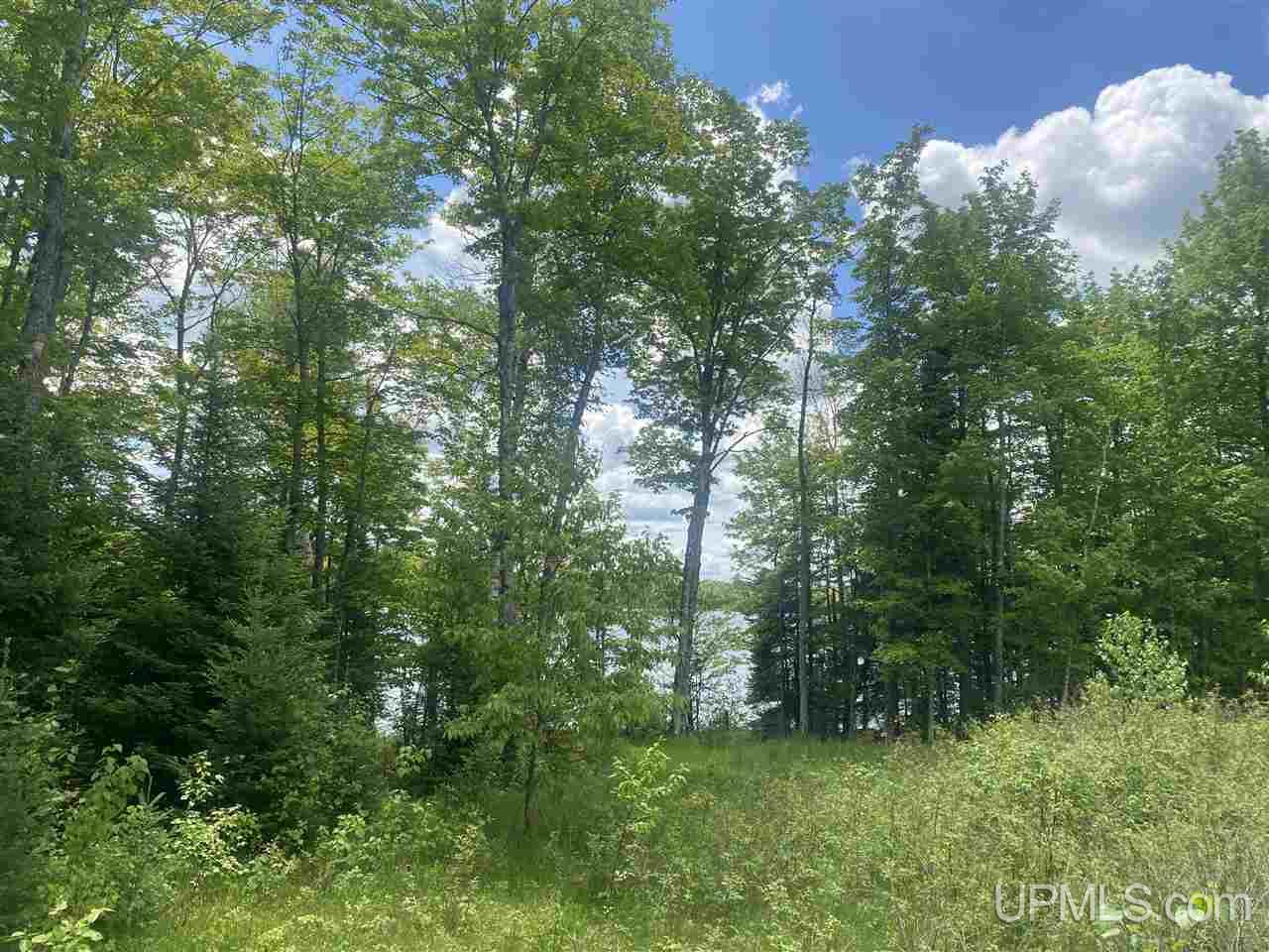 Tbd West Tamarack Lake Road, Unit 17 Iron River, MI 49935 - Photo 45 of 45