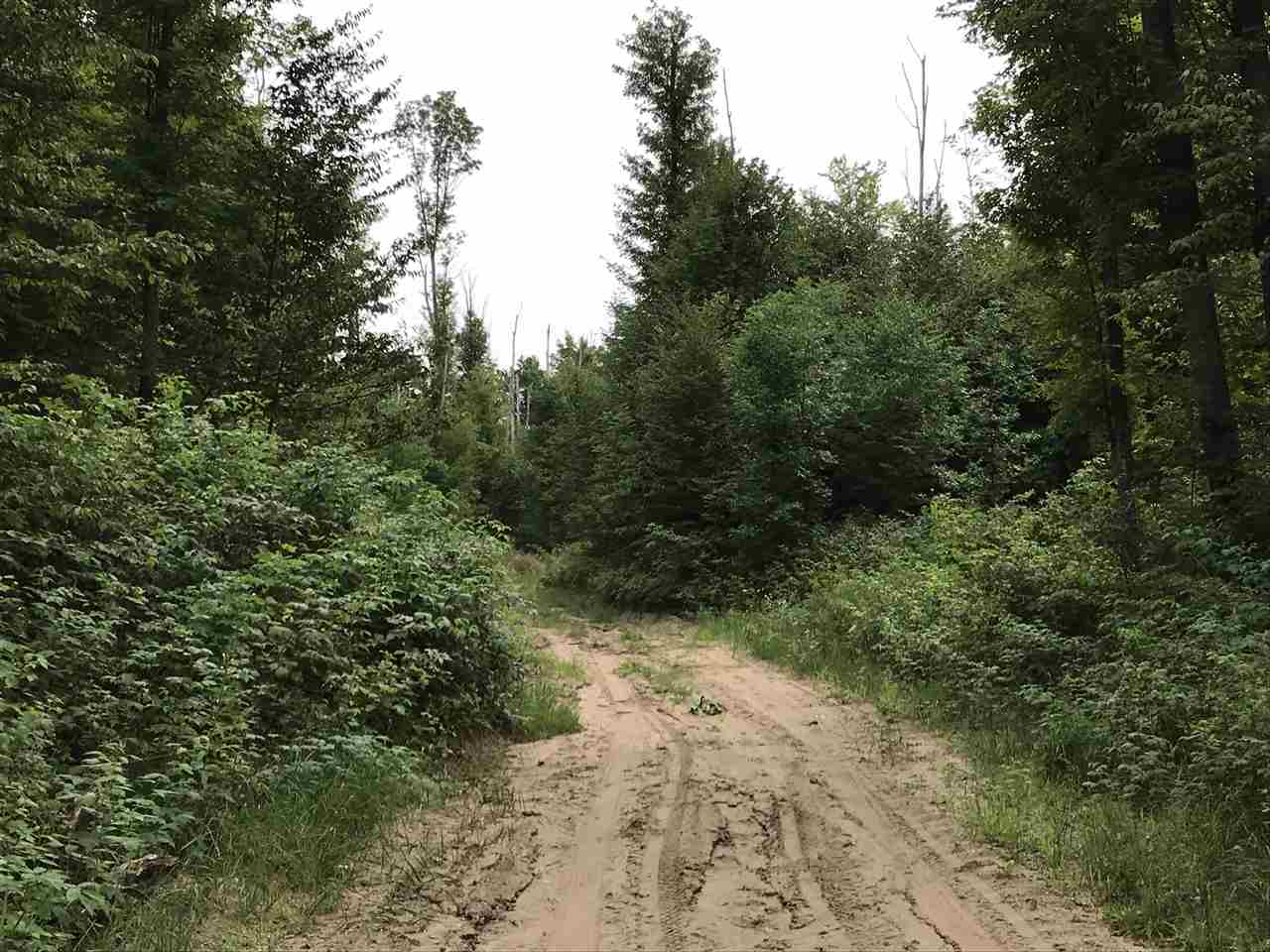 0 West 26th Road Cadillac, MI 49601 - Photo 26 of 26 1863733-28.JPG