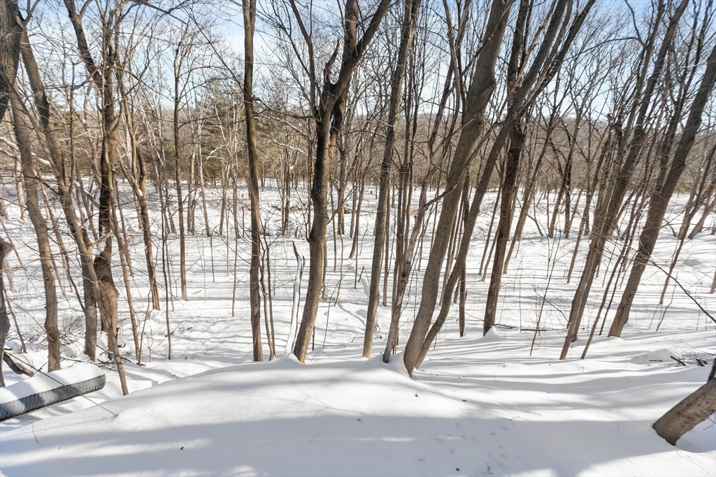 93 Forest Street Clinton, MA 01510 - Photo 3 of 24