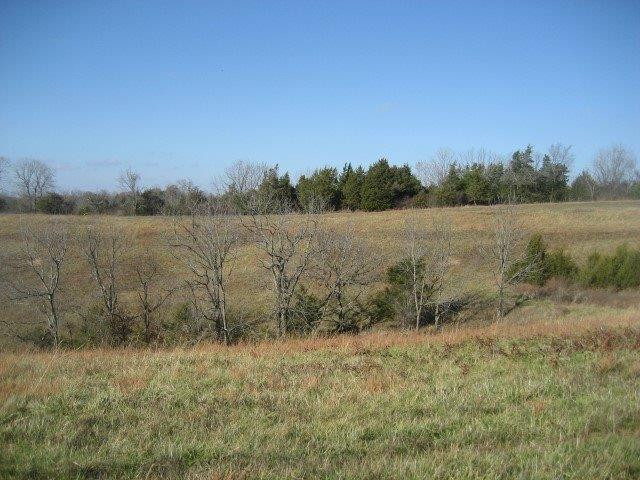 377 Cardwell-Tablow Road Harrodsburg, KY 40330 - Photo 8 of 10 Photo 8