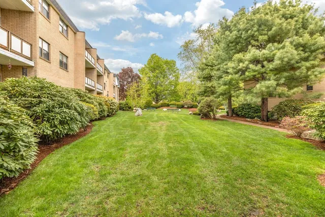 a view of a big yard with large trees