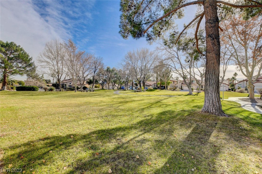 357 Rushing Creek Court Henderson, NV 89014 - Photo 50 of 56 Gallery Image 50
