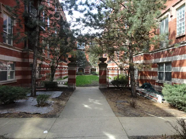 a view of a yard with plants and a large tree