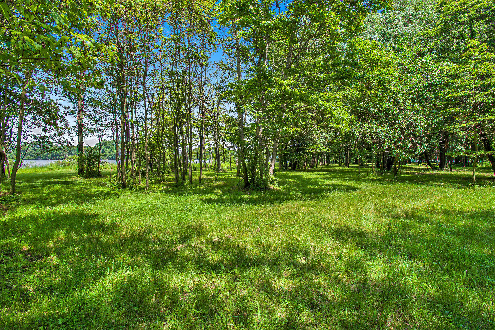 V/l Schweitzer Road Three Rivers, MI 49093 - Photo 35 of 45 DSC_5124