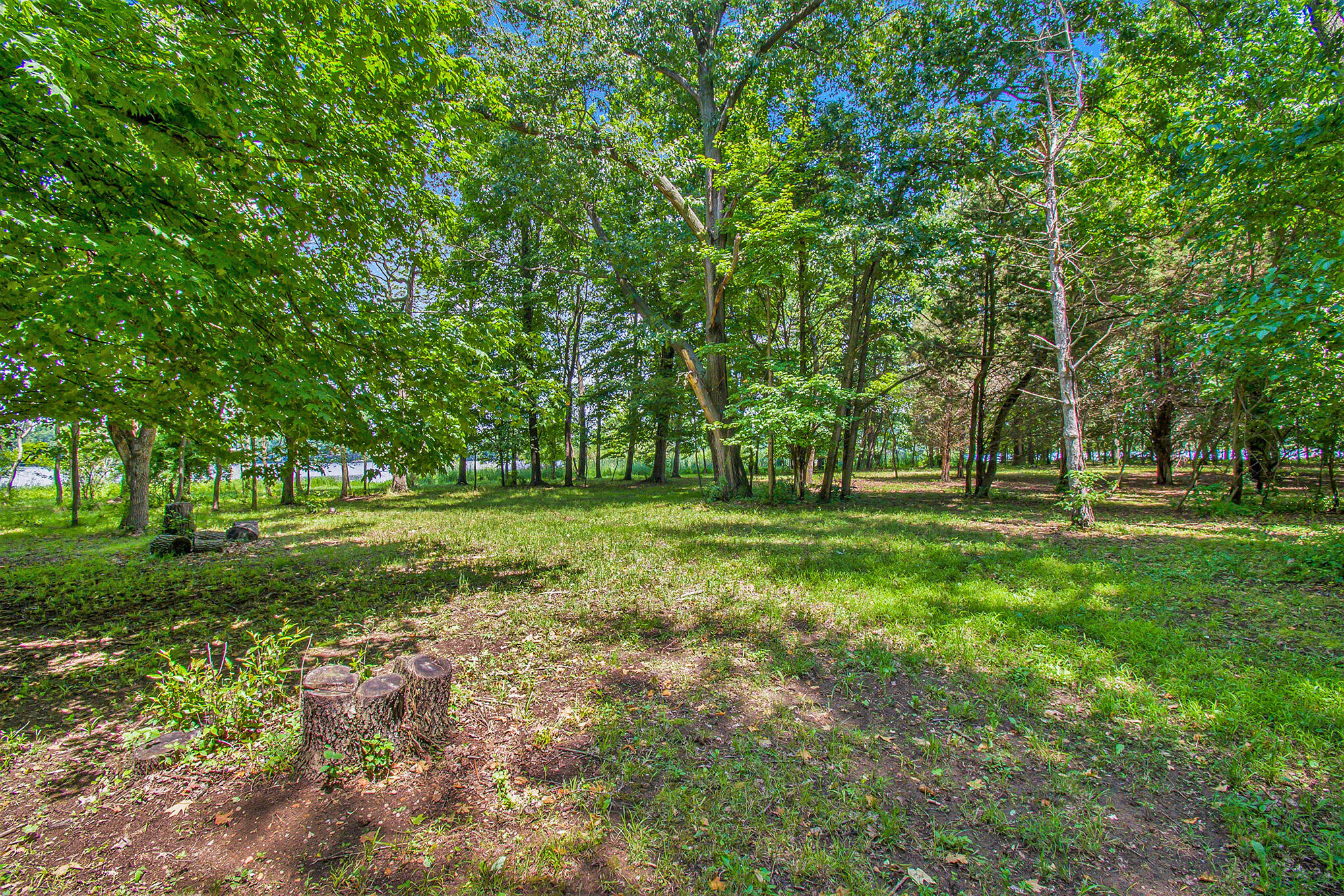 V/l Schweitzer Road Three Rivers, MI 49093 - Photo 36 of 45 DSC_5125