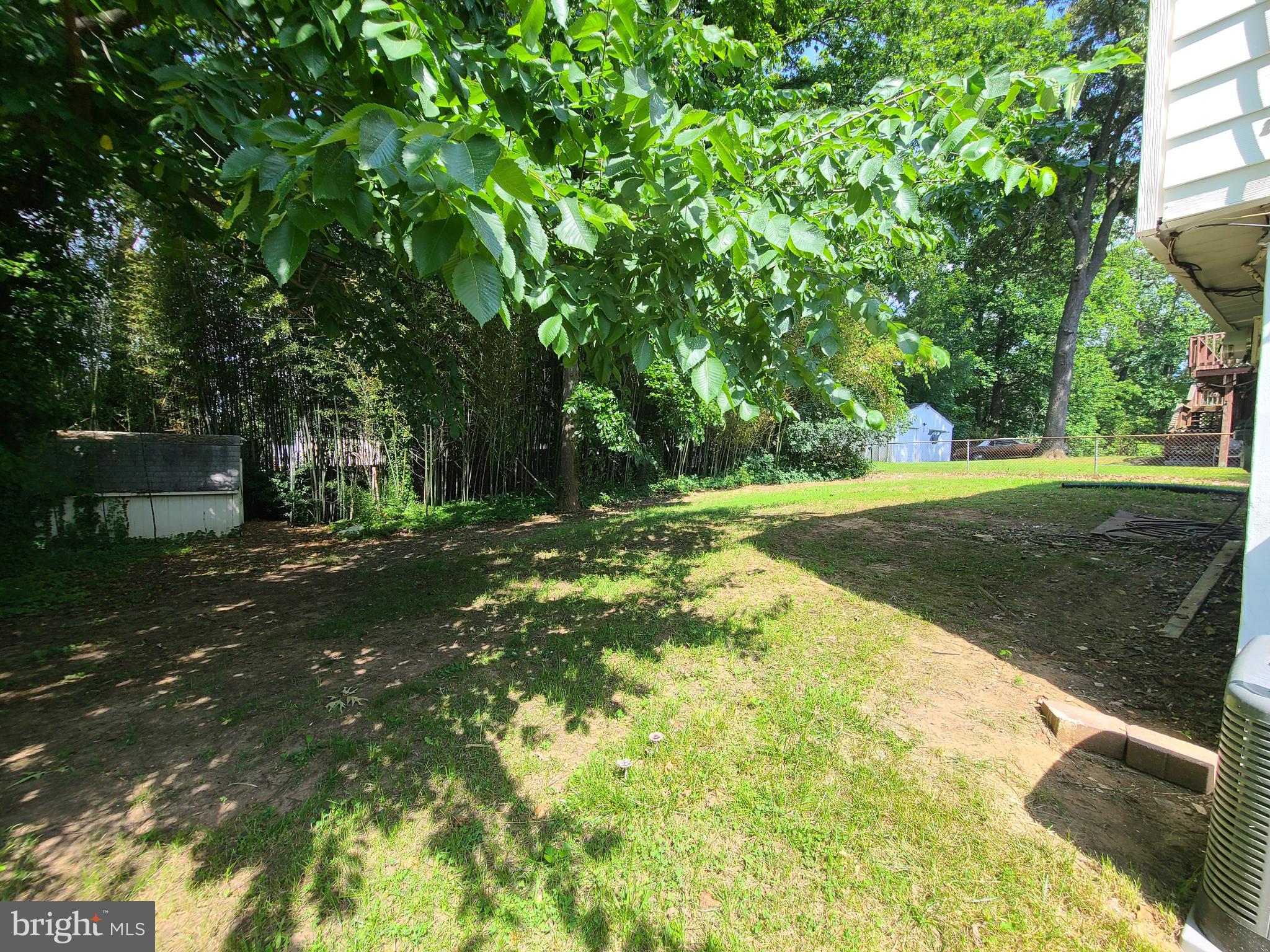 1524 Florida Avenue Woodbridge, VA 22191 - Photo 4 of 36 a view of a tree in a yard