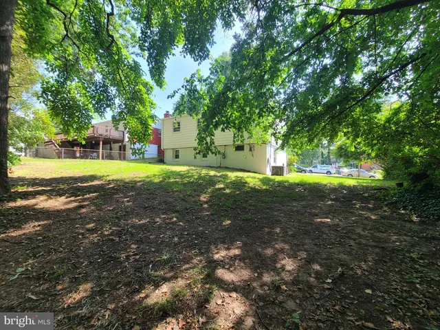 a big yard with large trees
