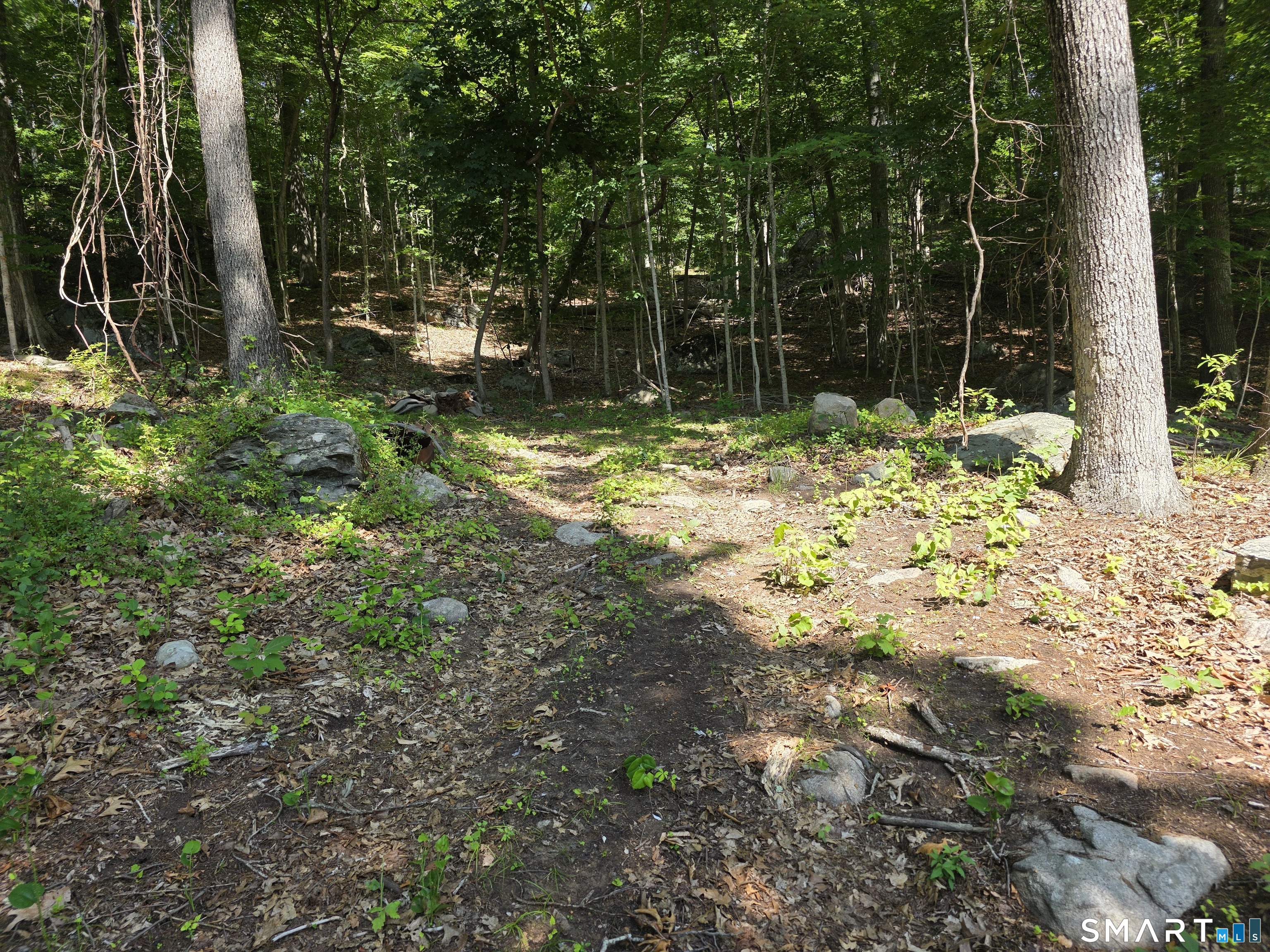 45 R Long Pond Road South Ledyard, CT 06339 - Photo 37 of 38