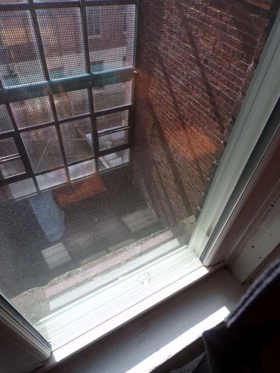 11.5 Mattoon Street Springfield, MA 01105 - Photo 2 of 40 Gallery Image 2