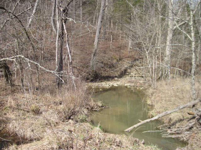 Chapman Road Dry Ridge, KY 41035 - Photo 16 of 19