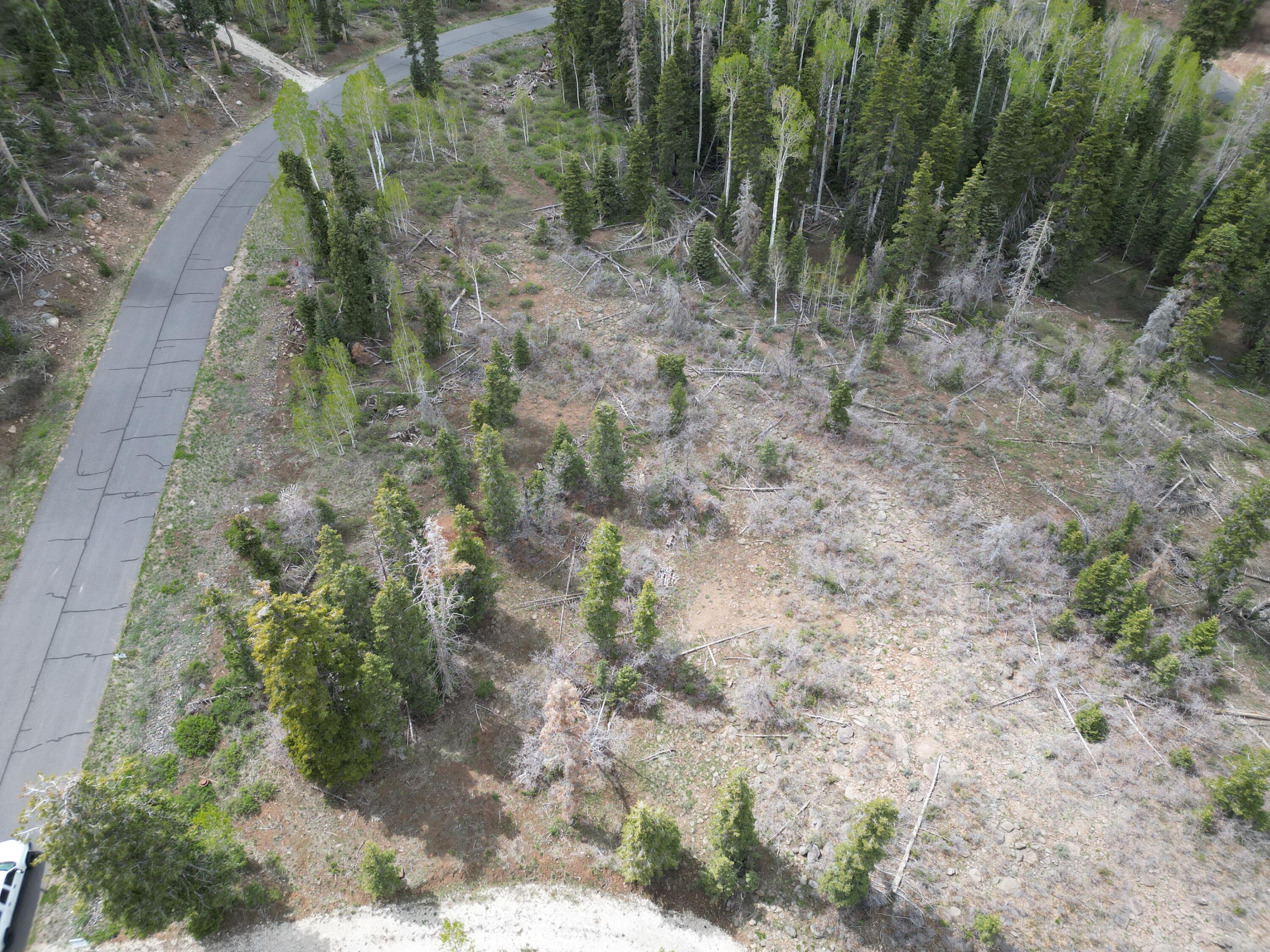 Kolob Ter Road Springdale, UT 84767 - Photo 1 of 11 DJI_0587