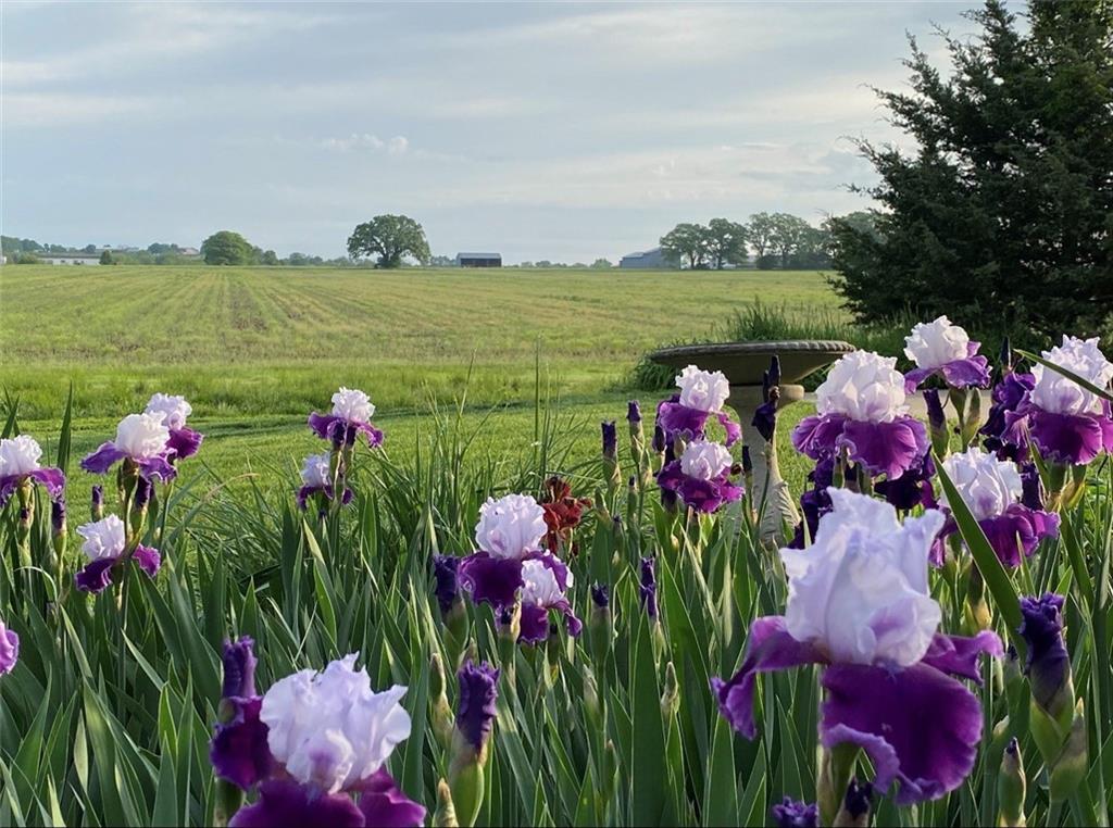 26550 Waverly Road Paola, KS 66071 - Photo 8 of 13