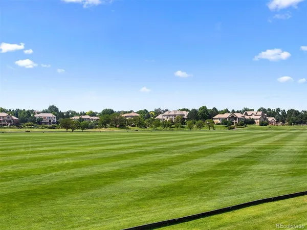 a view of a grassy field with trees
