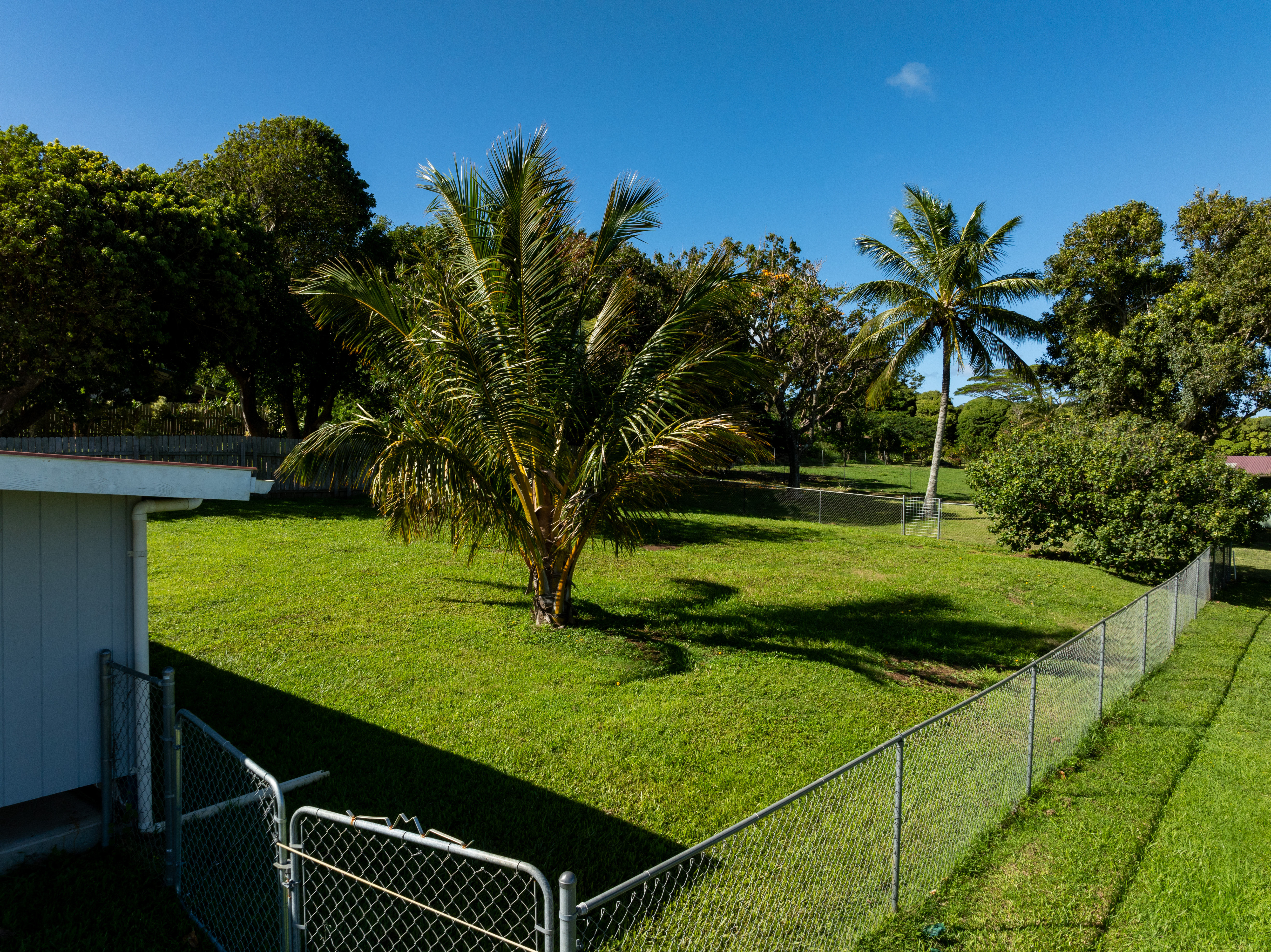 54-2461 Kynnersley Road Kapaau, HI 96755 - Photo 24 of 30 a view of a garden and trees