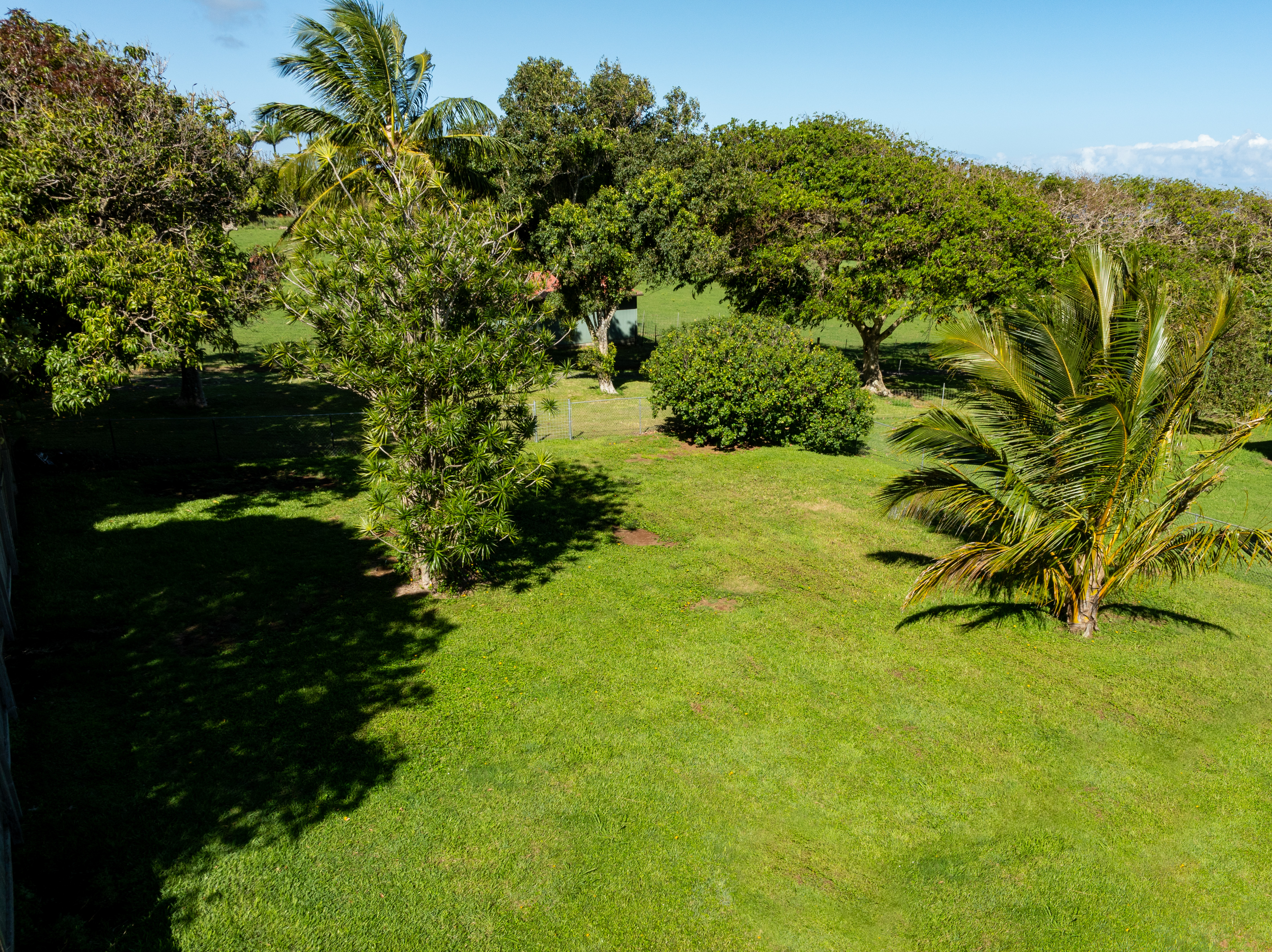 54-2461 Kynnersley Road Kapaau, HI 96755 - Photo 30 of 30 a view of a garden
