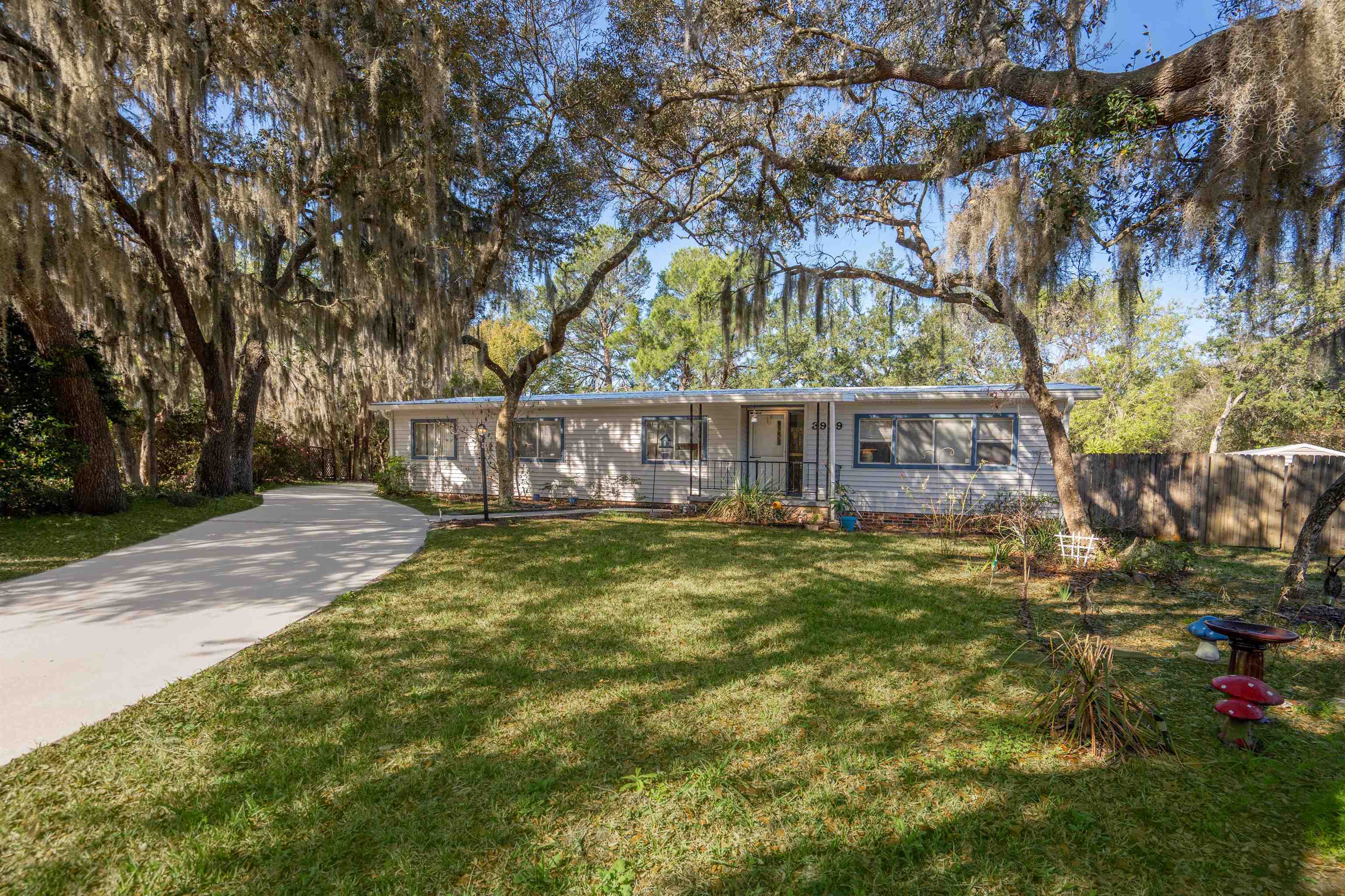 3979 Oak Terrace Road St. Augustine, FL 32086 - Photo 36 of 36 a view of a yard with plants and trees