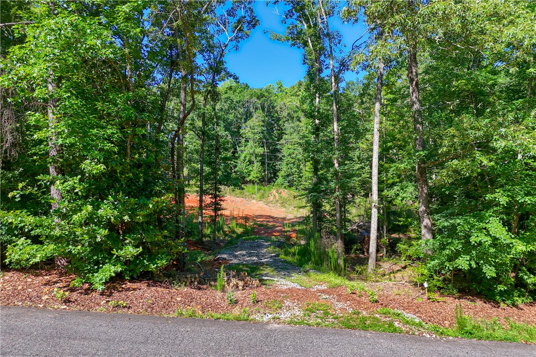1020 Green Willow Trail Anderson, SC 29621 - Photo 3 of 28 A spacious, wooded lot presents a prime opportunity for custom home construction.
