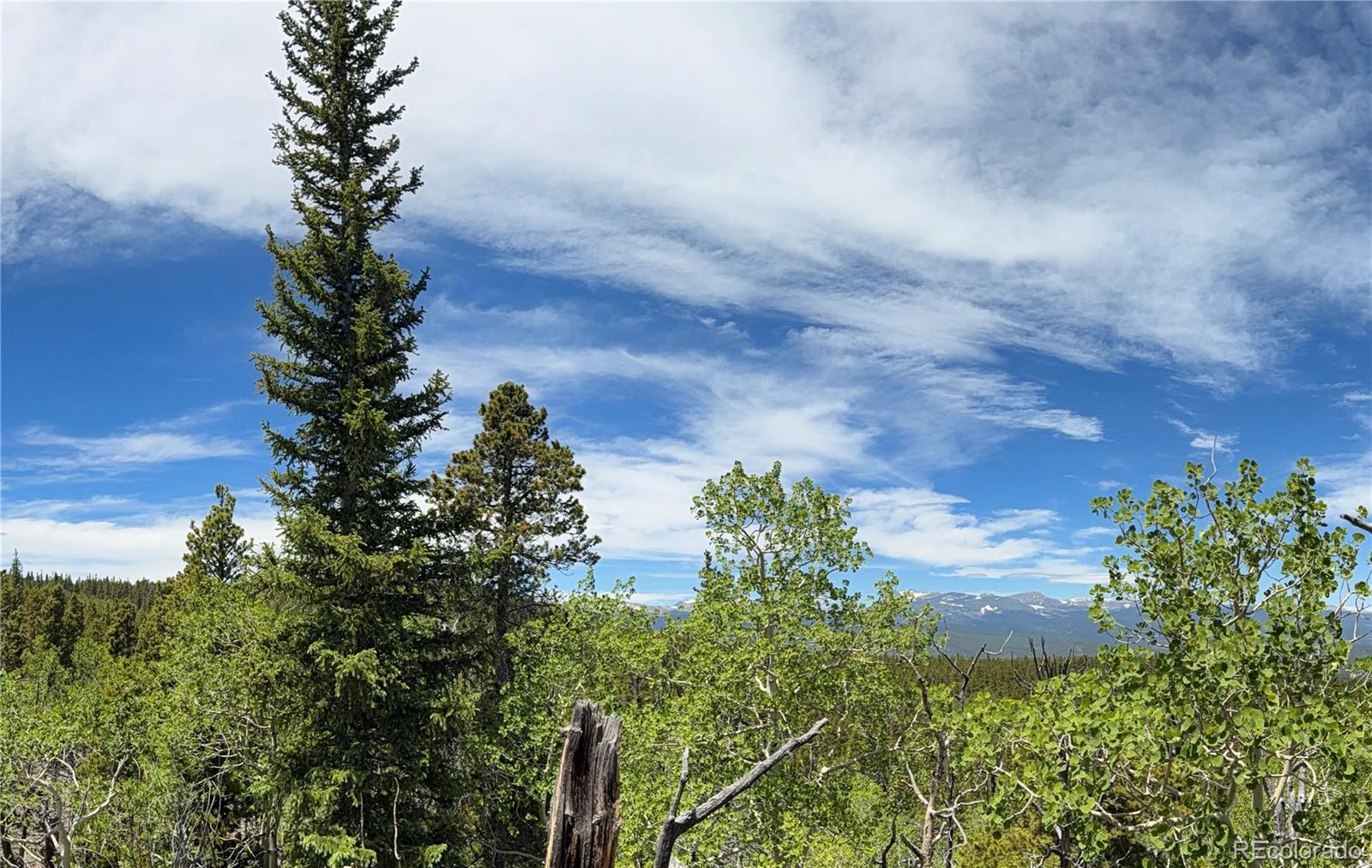 Lot 5 Roosevelt Ridge Black Hawk, CO 80422 - Photo 13 of 17