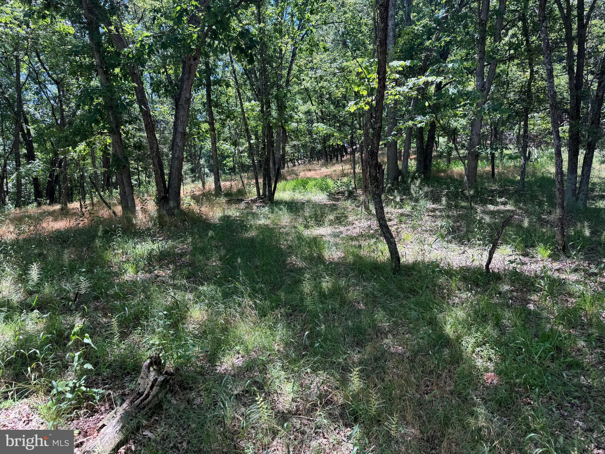 511 Chickadee Road Purgitsville, WV 26852 - Photo 44 of 99