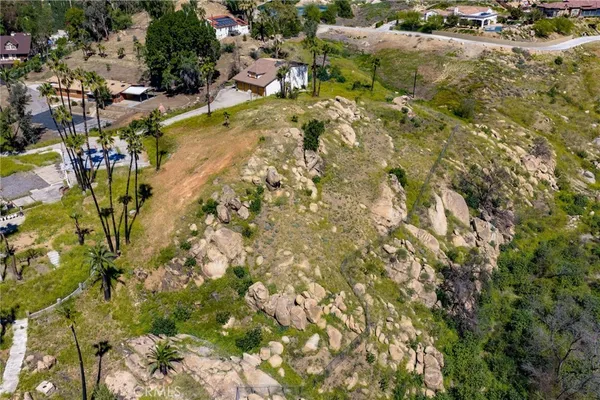 a view of a yard with plants
