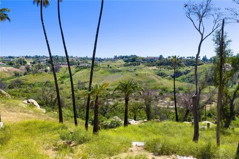 a view of a garden with a building in the background
