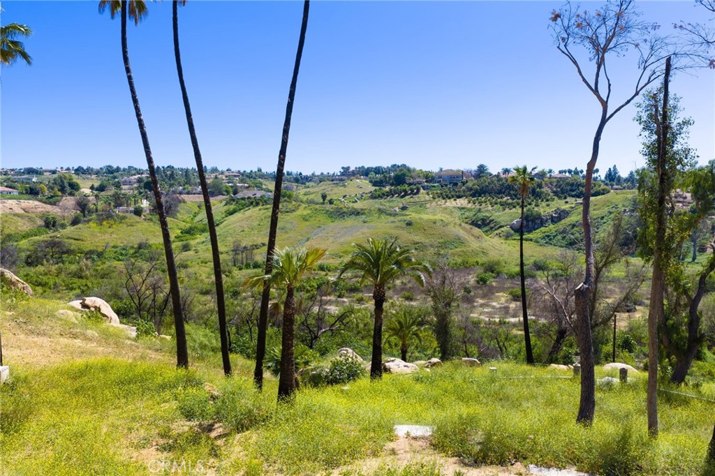 6480 Hawarden Drive Riverside, CA 92506 - Photo 23 of 32