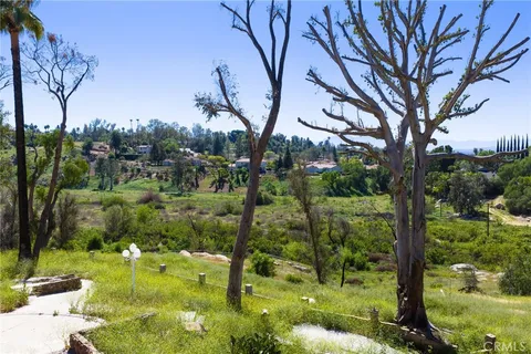a view of a yard with plants and trees