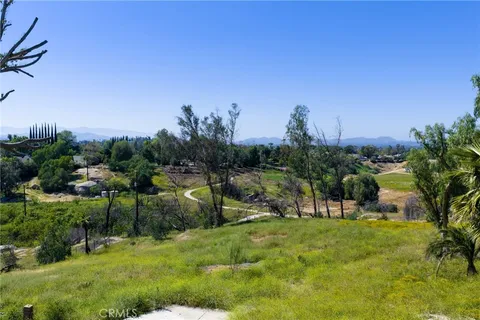 a row of palm trees in front of a house