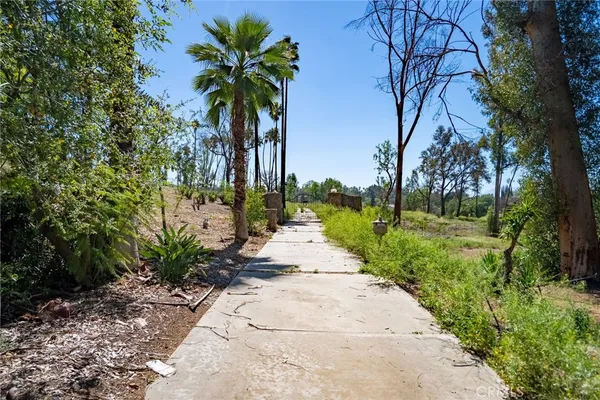 a view of a park with trees