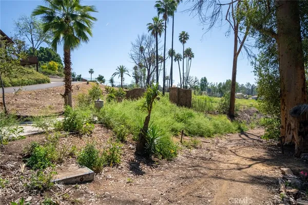 a view of outdoor space and yard