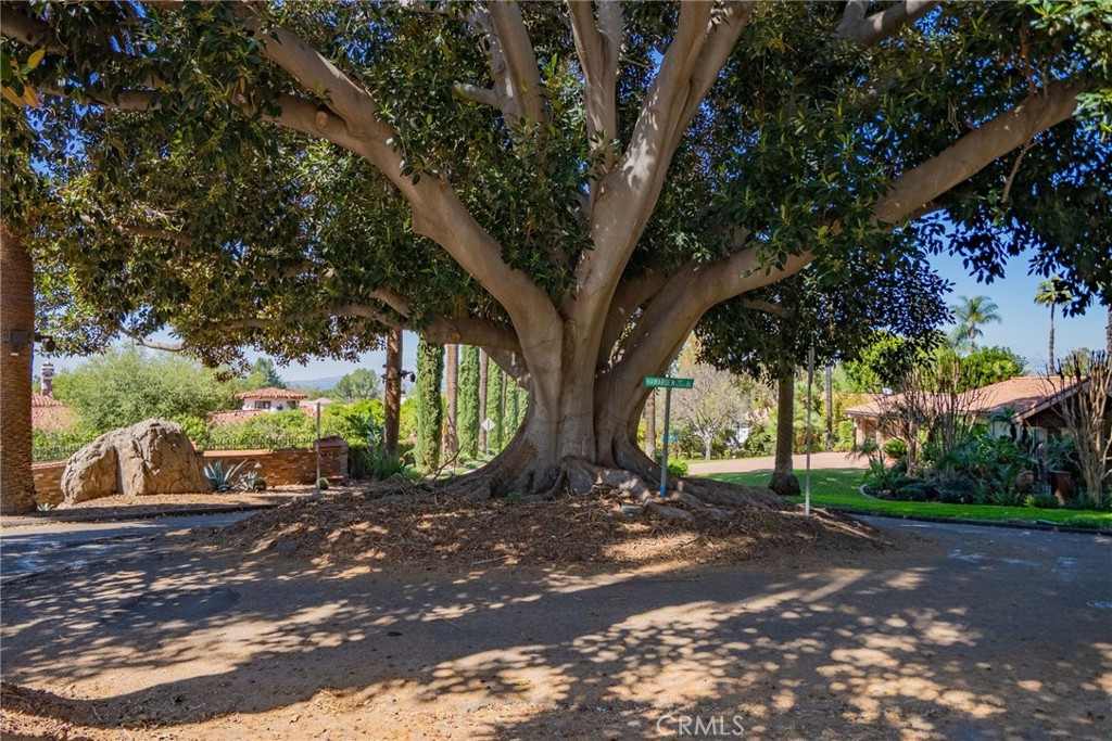 6480 Hawarden Drive Riverside, CA 92506 - Photo 31 of 32