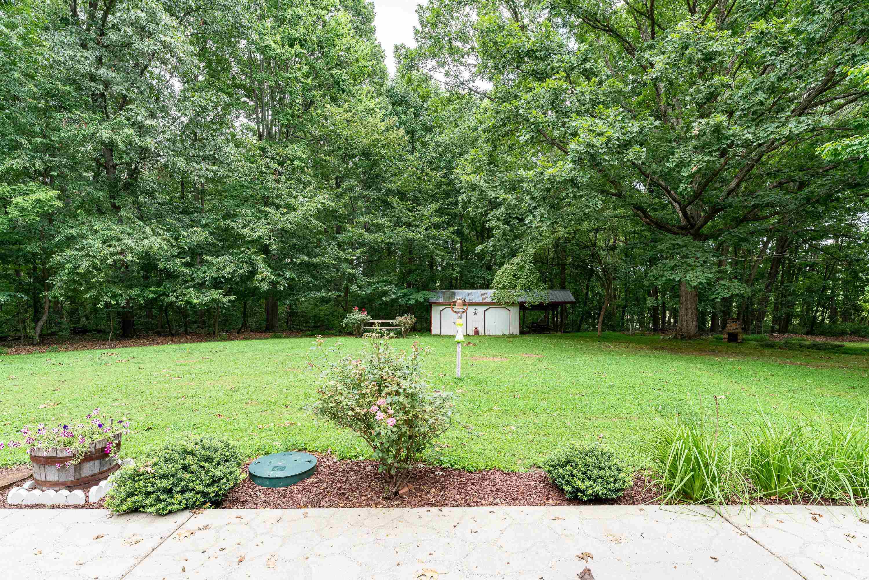 431 Springfield Estates Drive Rileyville, VA 22650 - Photo 28 of 44 a view of a backyard with potted plants and large trees