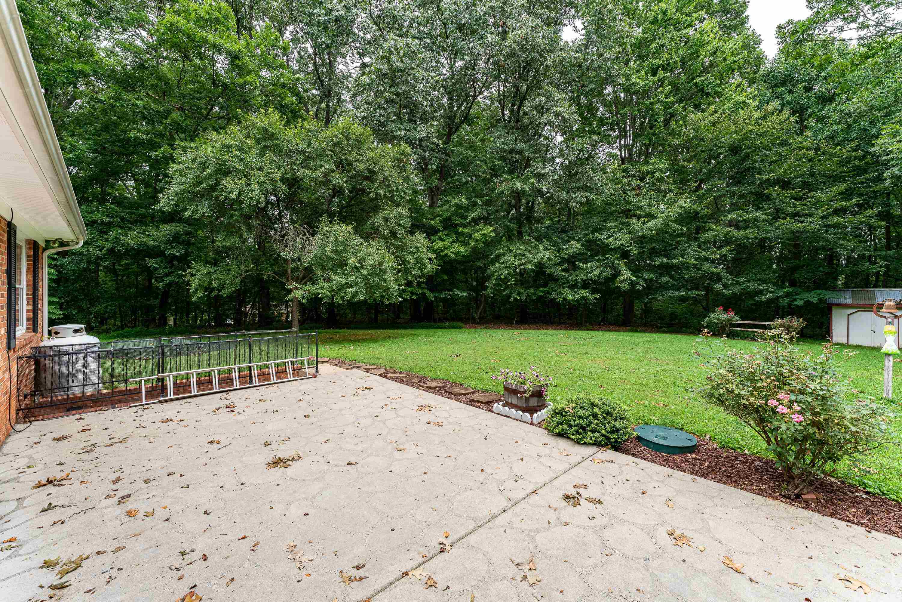 431 Springfield Estates Drive Rileyville, VA 22650 - Photo 30 of 44 a view of a park with large trees