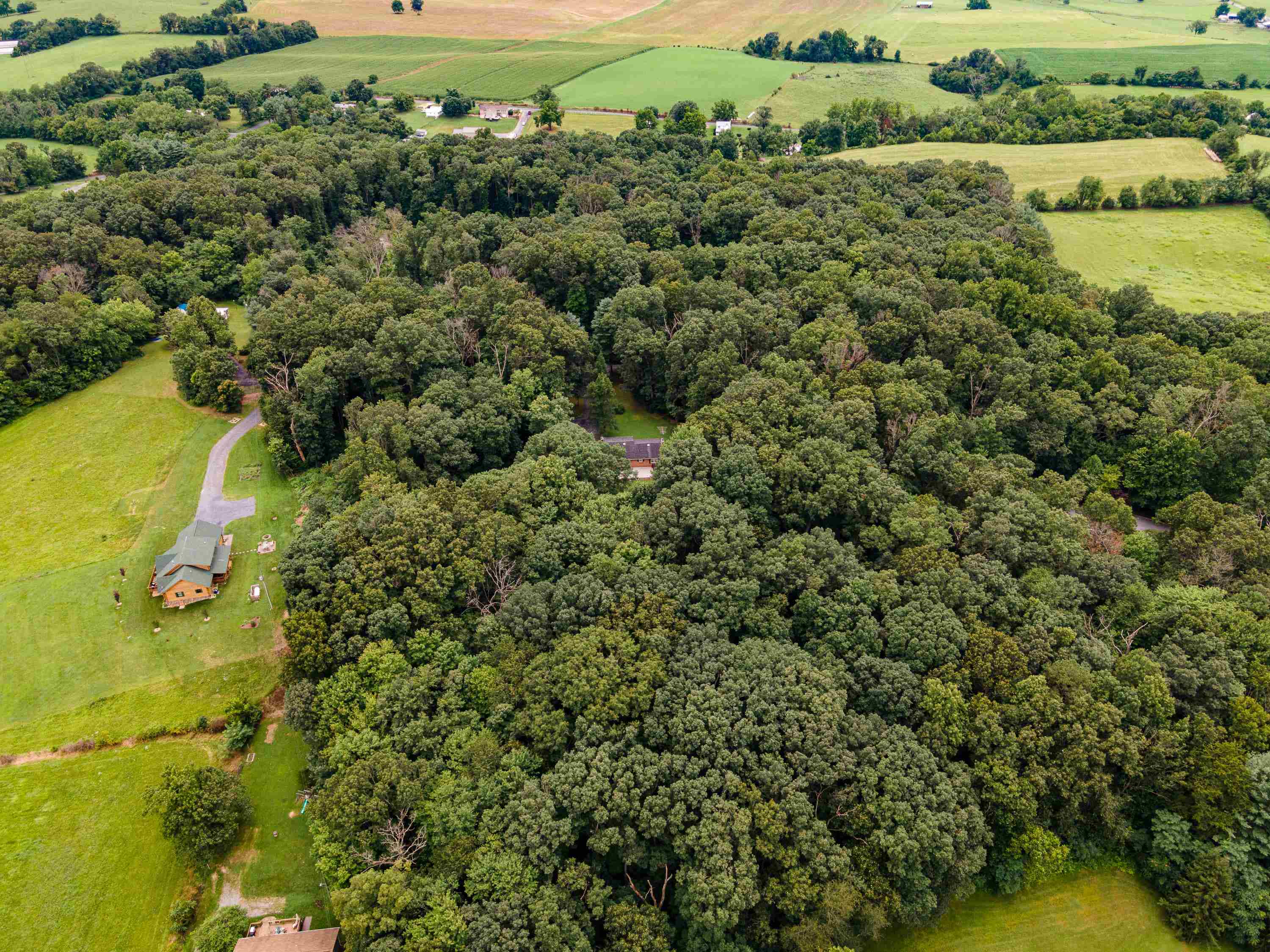 431 Springfield Estates Drive Rileyville, VA 22650 - Photo 43 of 44 an aerial view of a houses with a yard